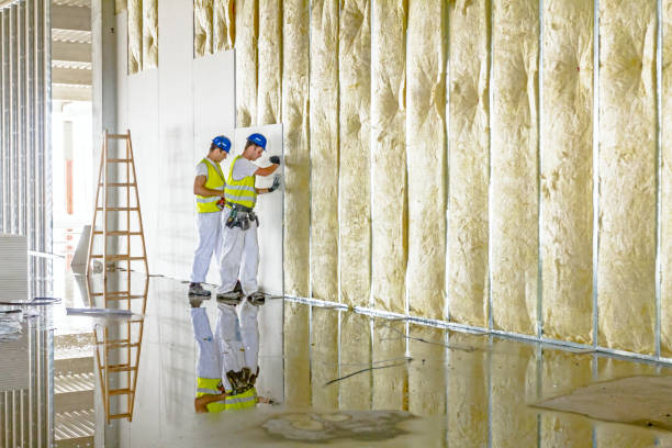 Best Residential Insulation in Oxford, KS